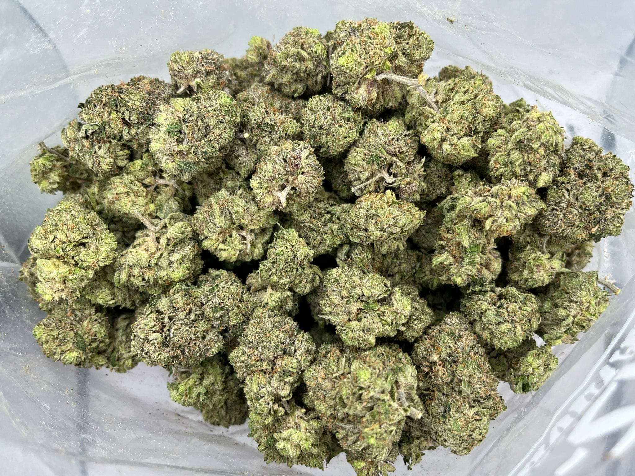 Cannawholesalers – Wedding Cake