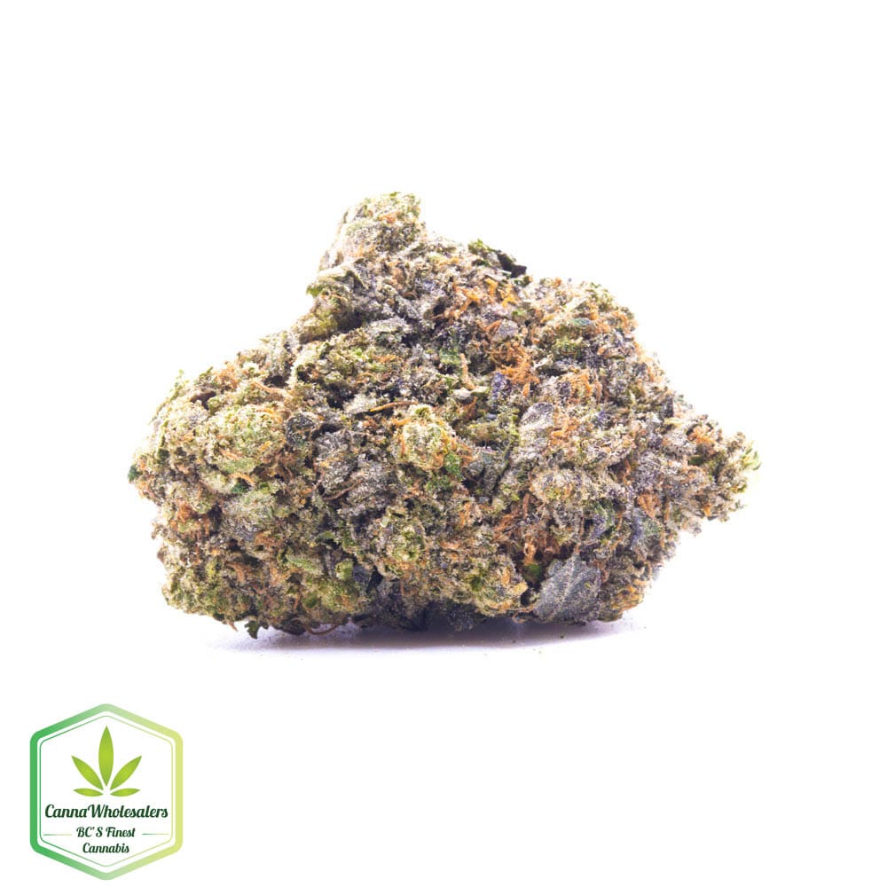 King’s Kush