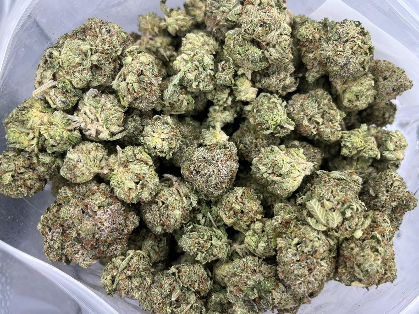 Purple Monkey Balls