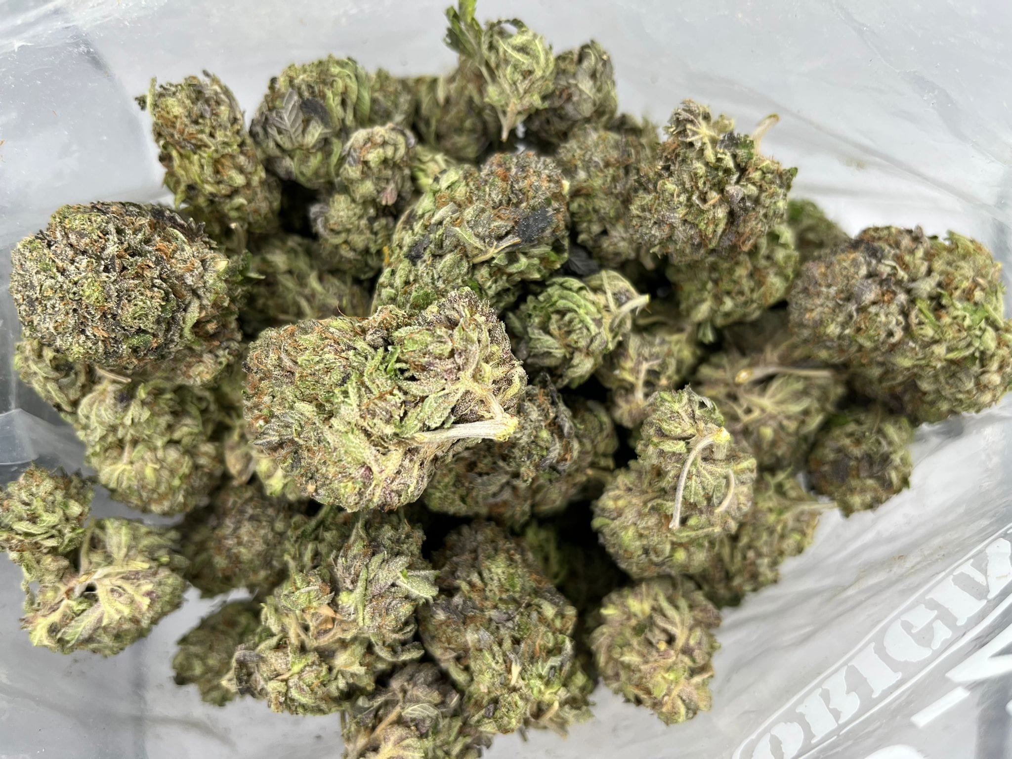 Budget Oz – Grease Monkey