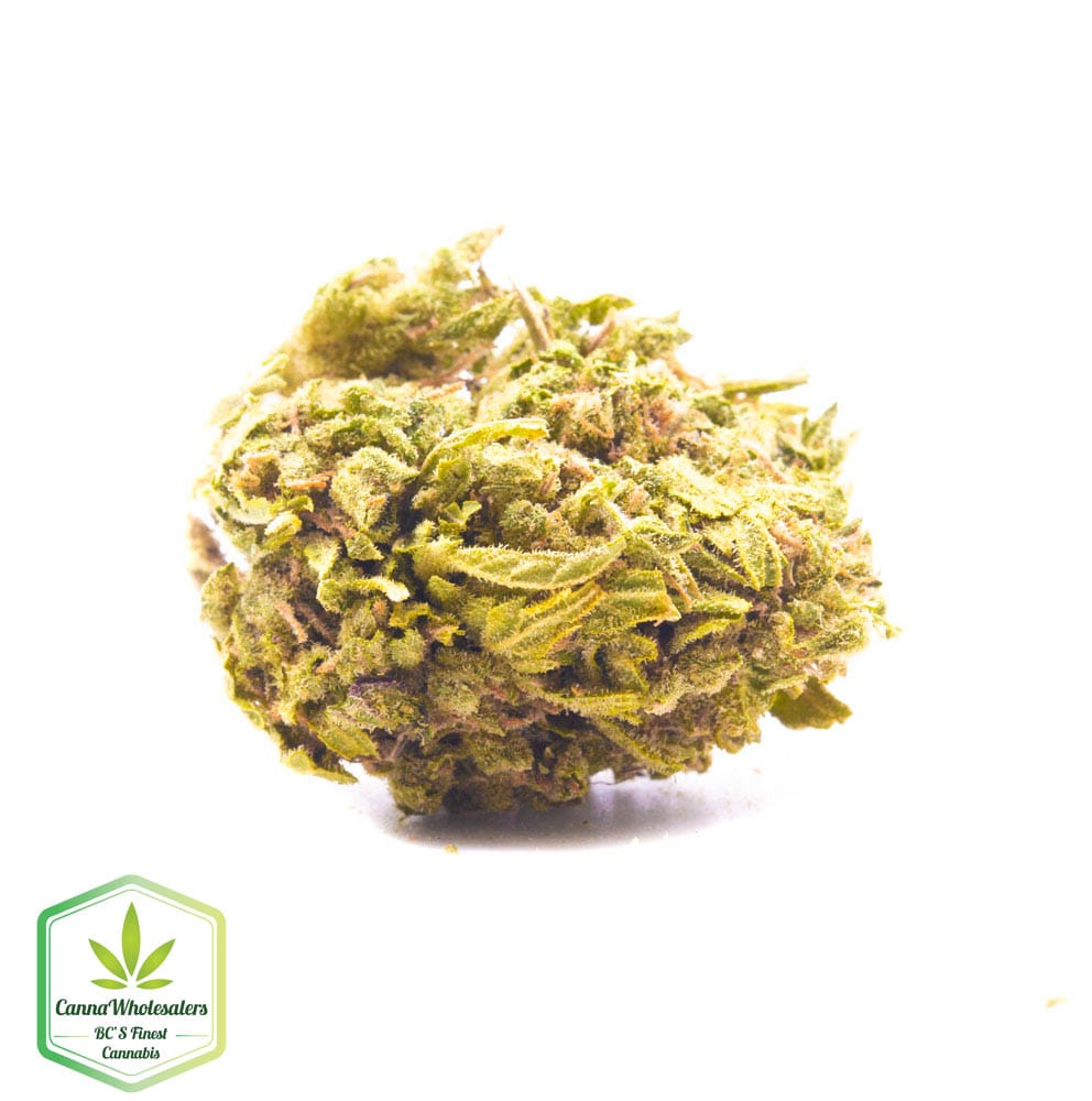 Mango Haze