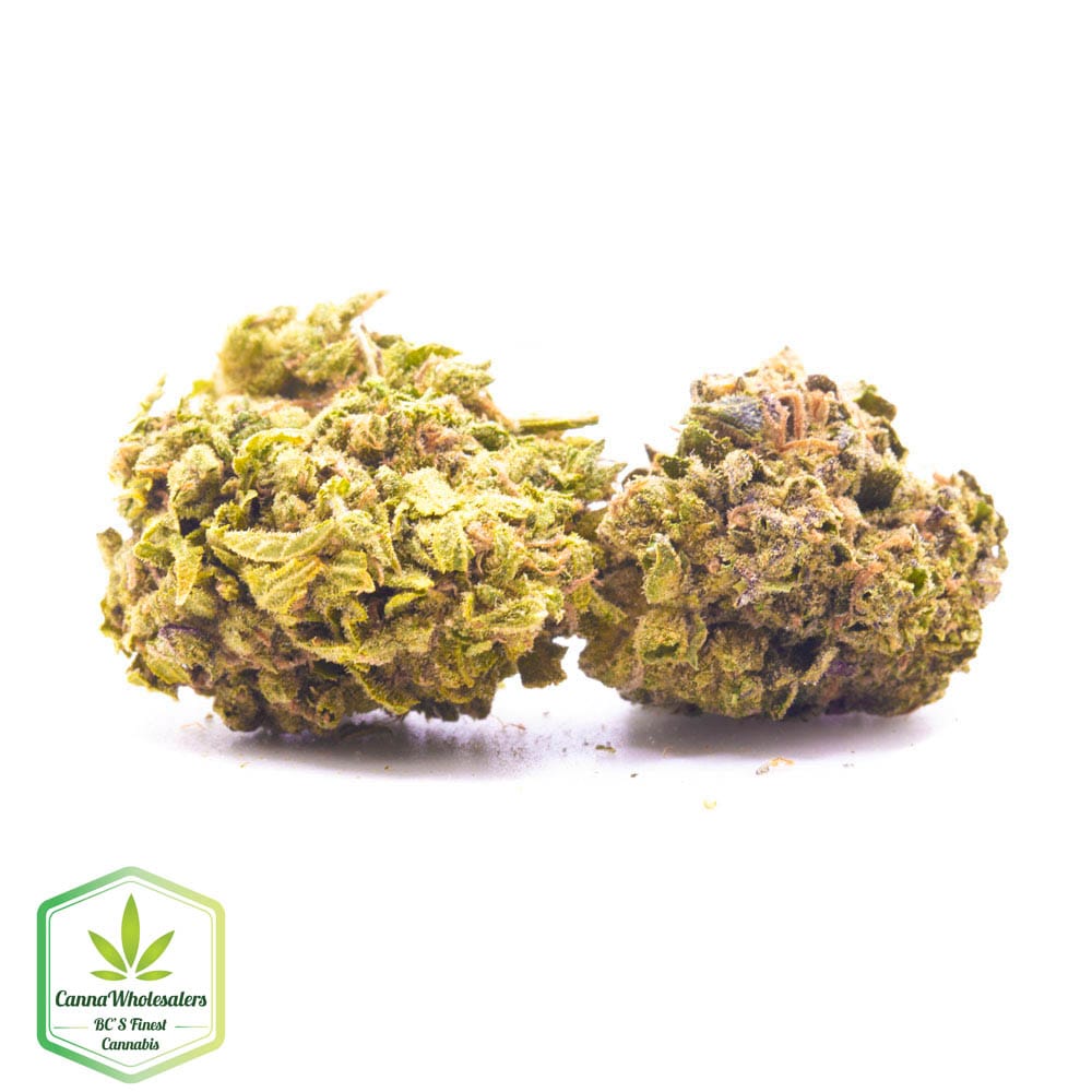 Mango Haze