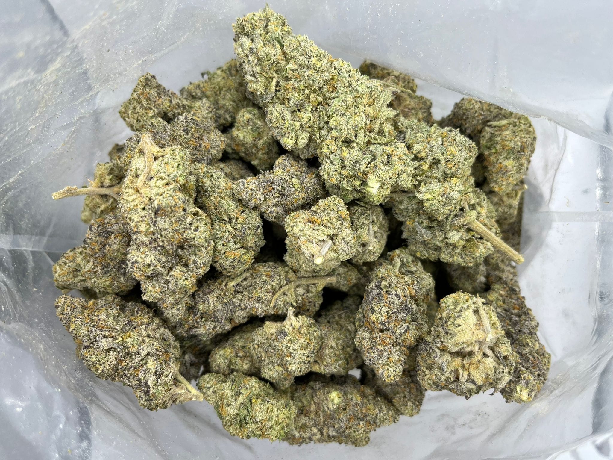 Hightimes Growery – Humboldt Headband