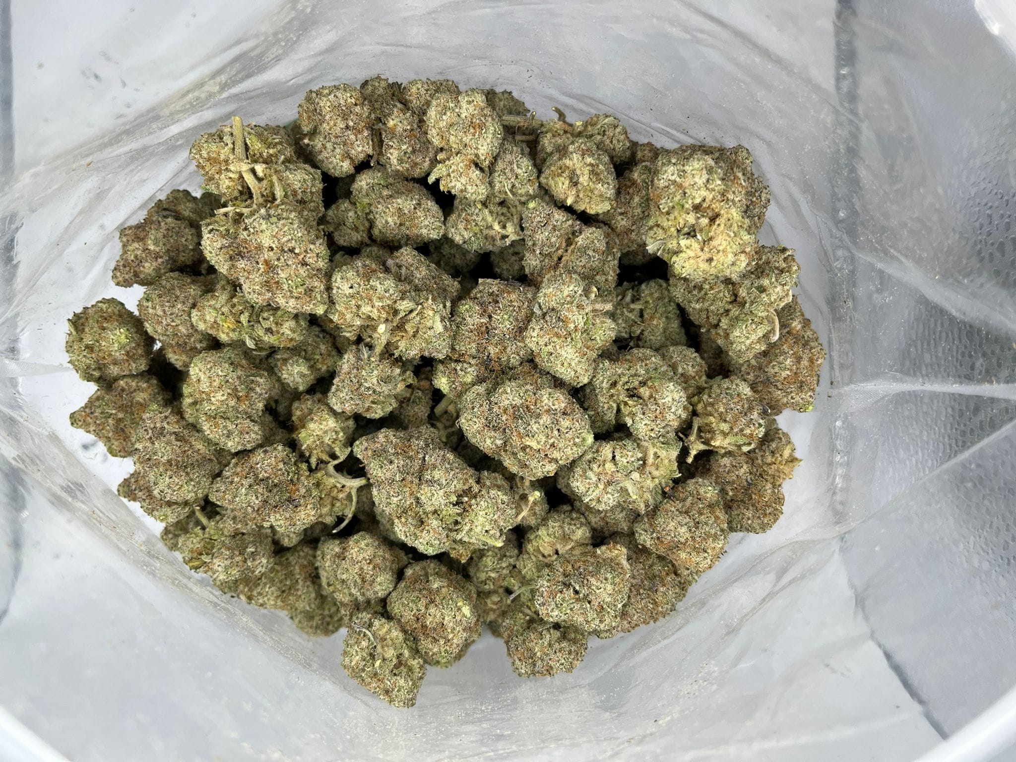 Budget Oz – Alien Technology