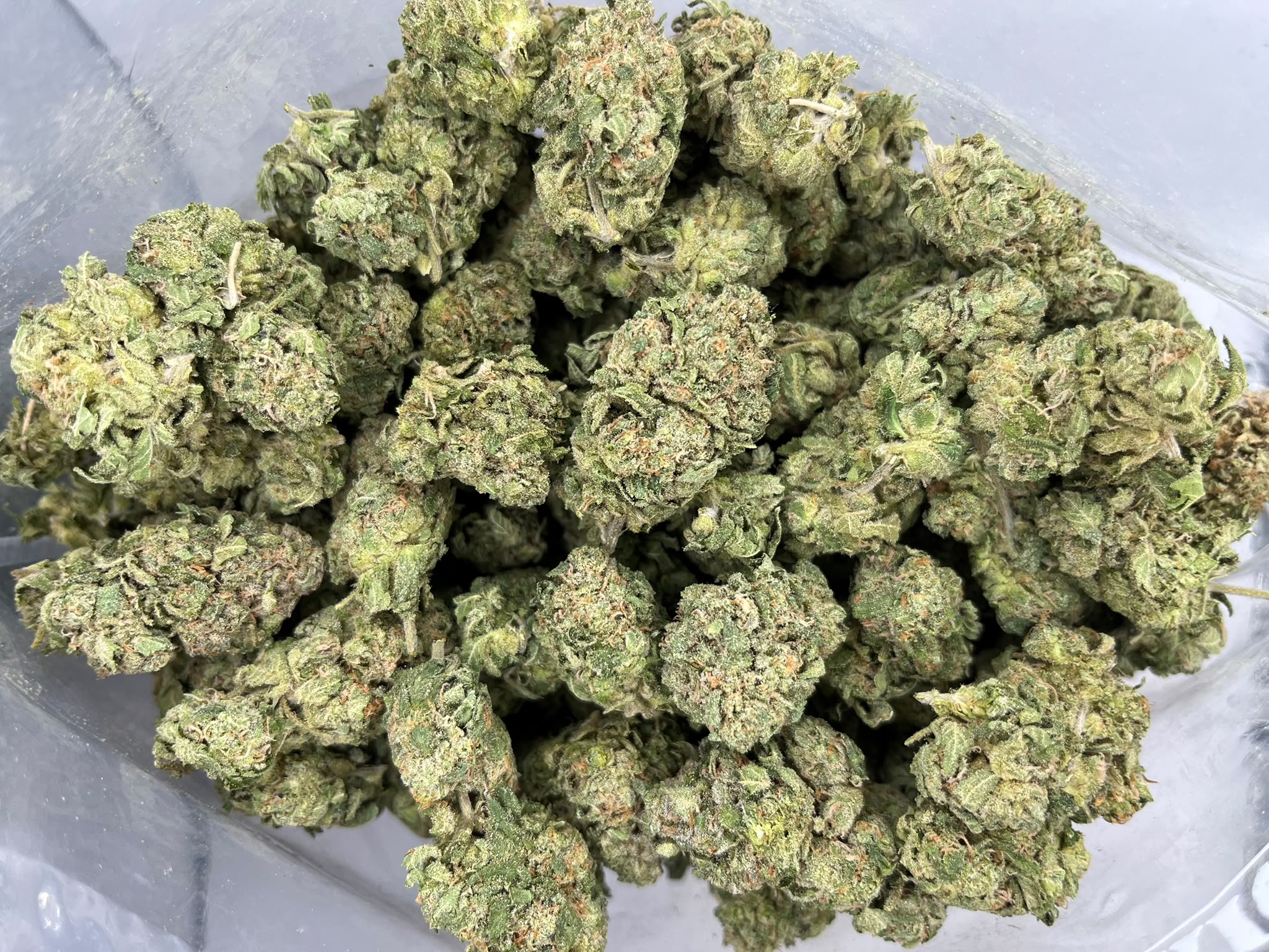 Budget Oz – Lemon Cherry Gelato