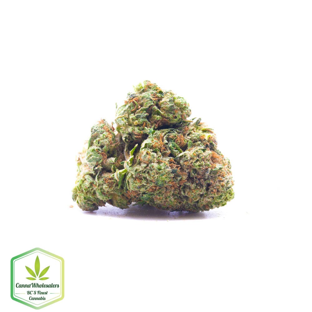 Legend OG
