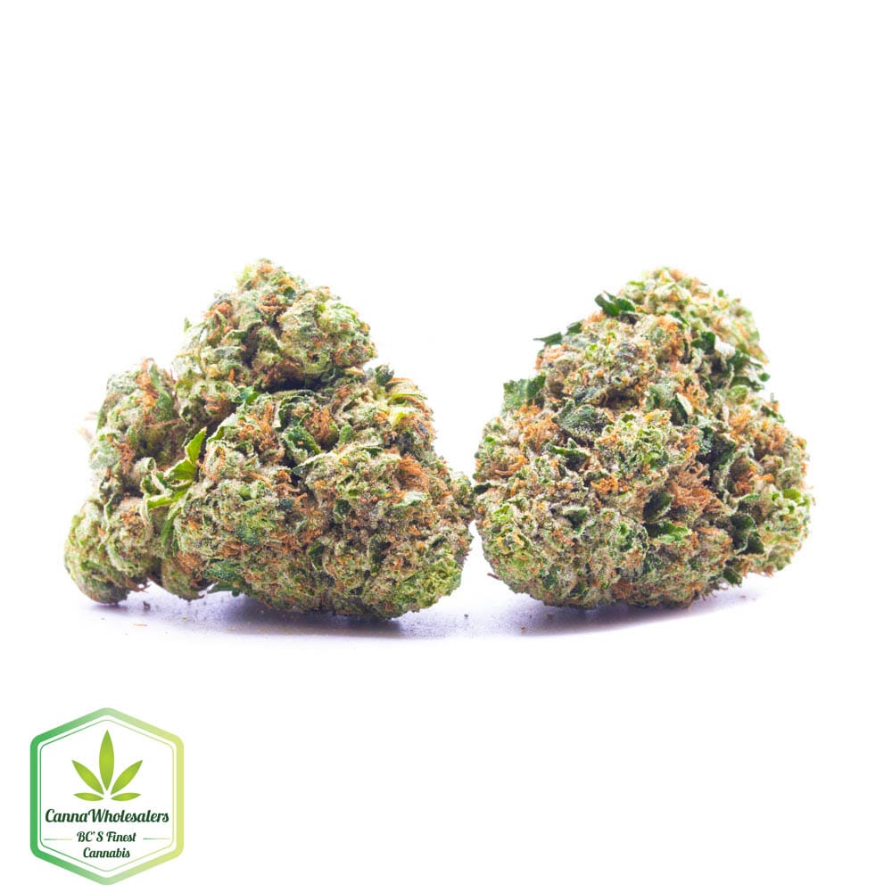 Legend OG