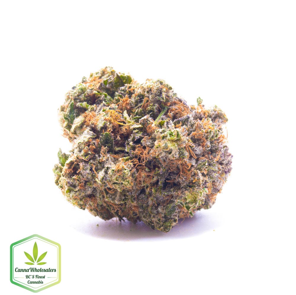 Purple Monkey Balls