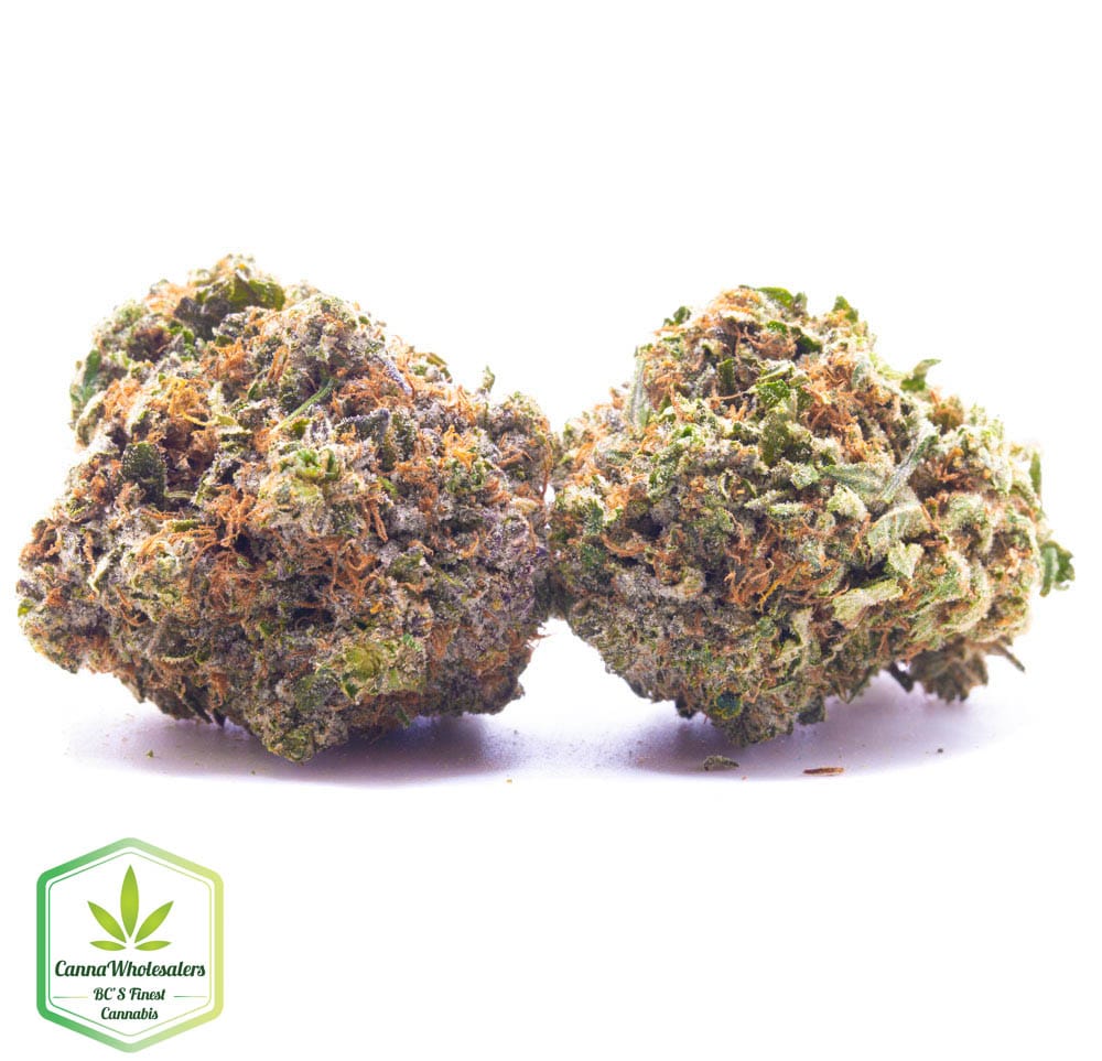 Purple Monkey Balls