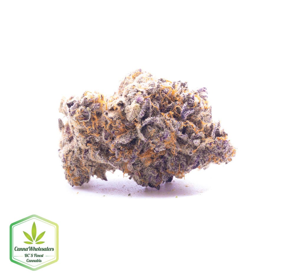 Strawberry Amnesia