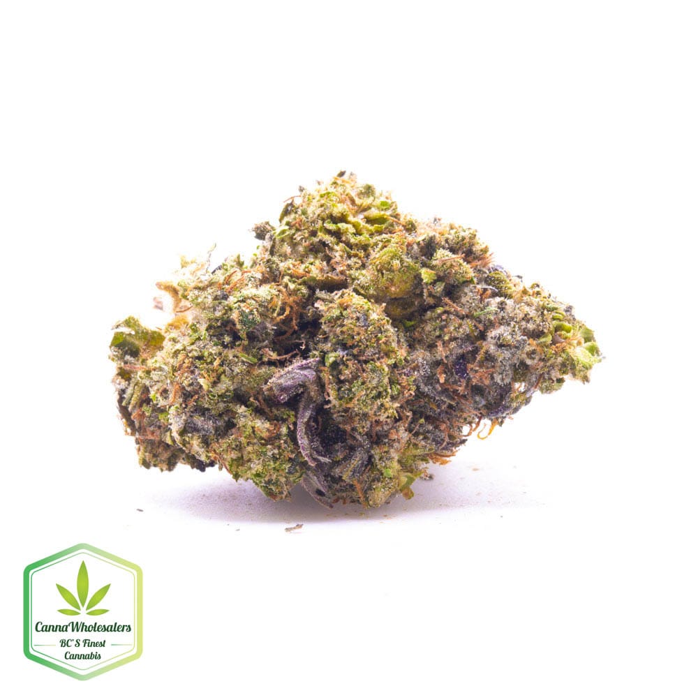 Zombie OG