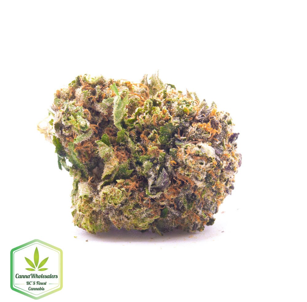 Rockbud