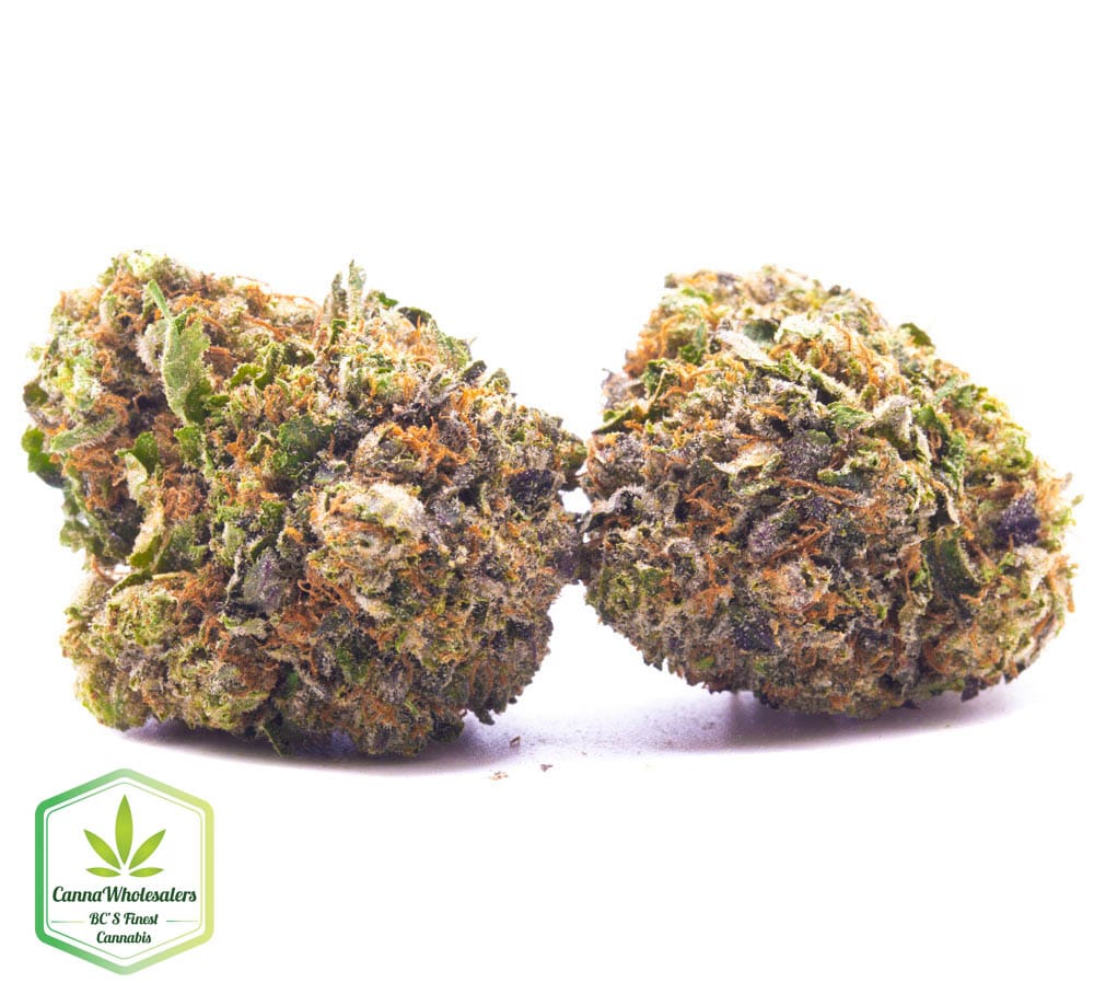 Rockbud