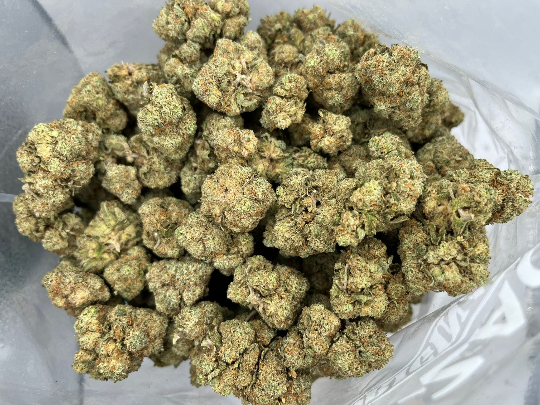 Budget Oz – Cake Bomb