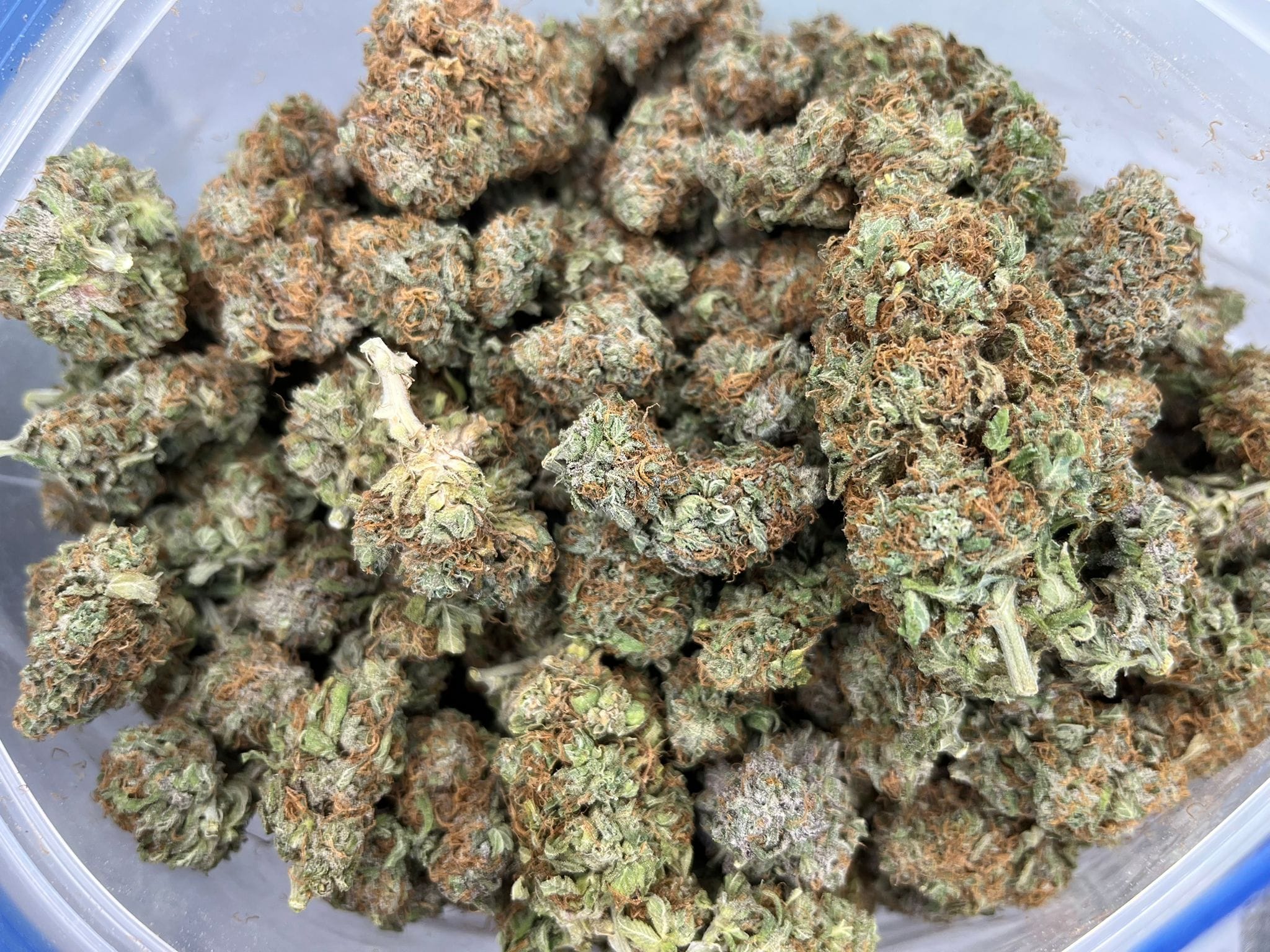 Peyote Cookies