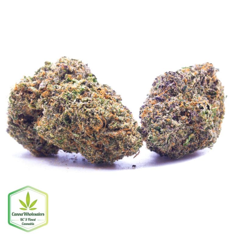 Budget Oz – Cannawholesalers – Jelly Breath
