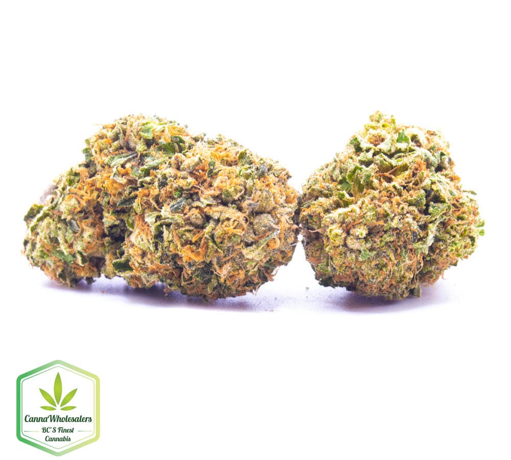 Godfather OG