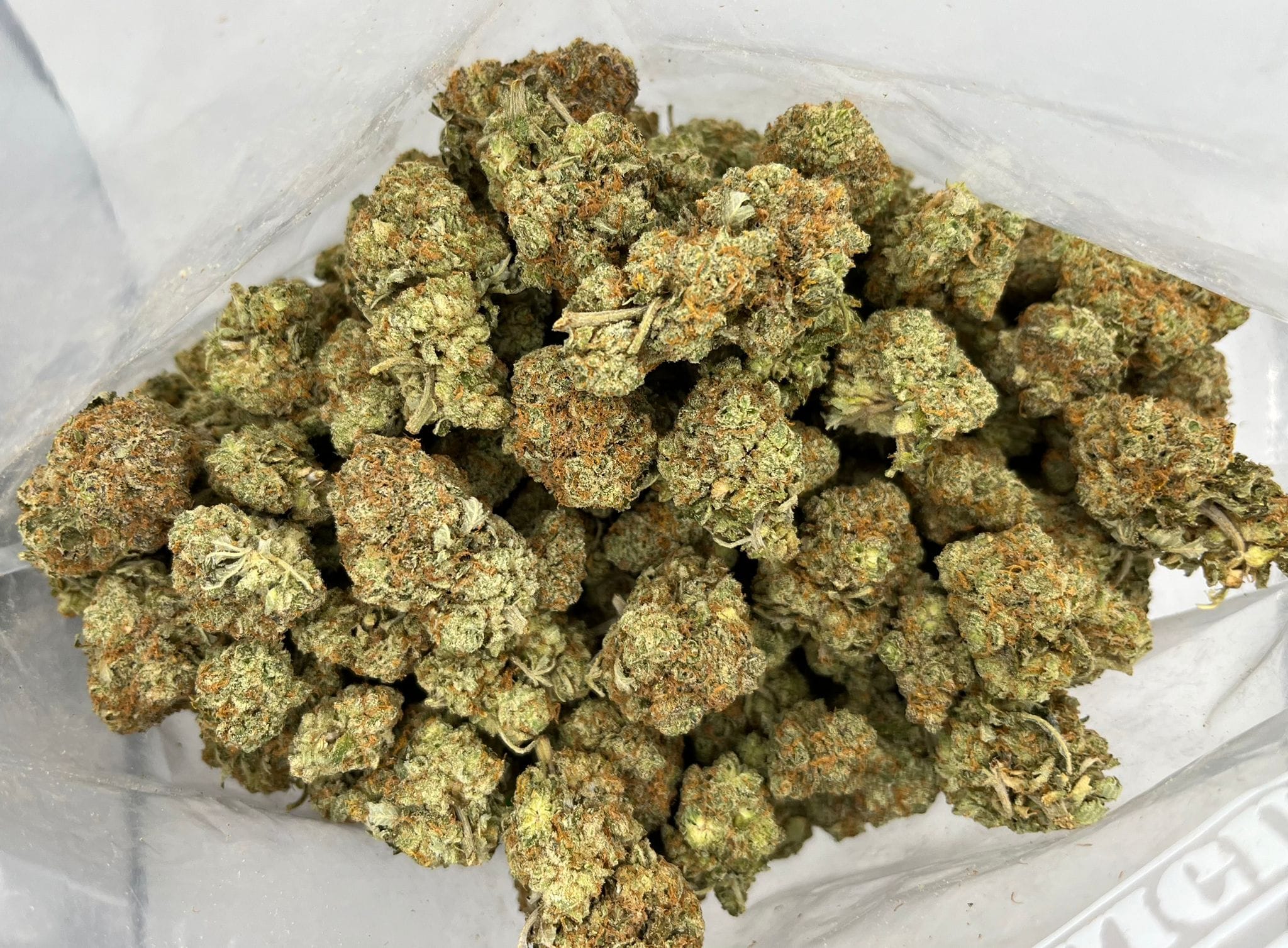 Budget Oz – Violator