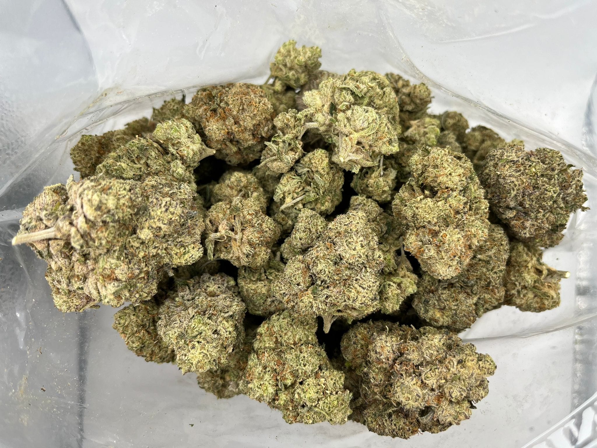 Budget Oz – Baker’s Delight