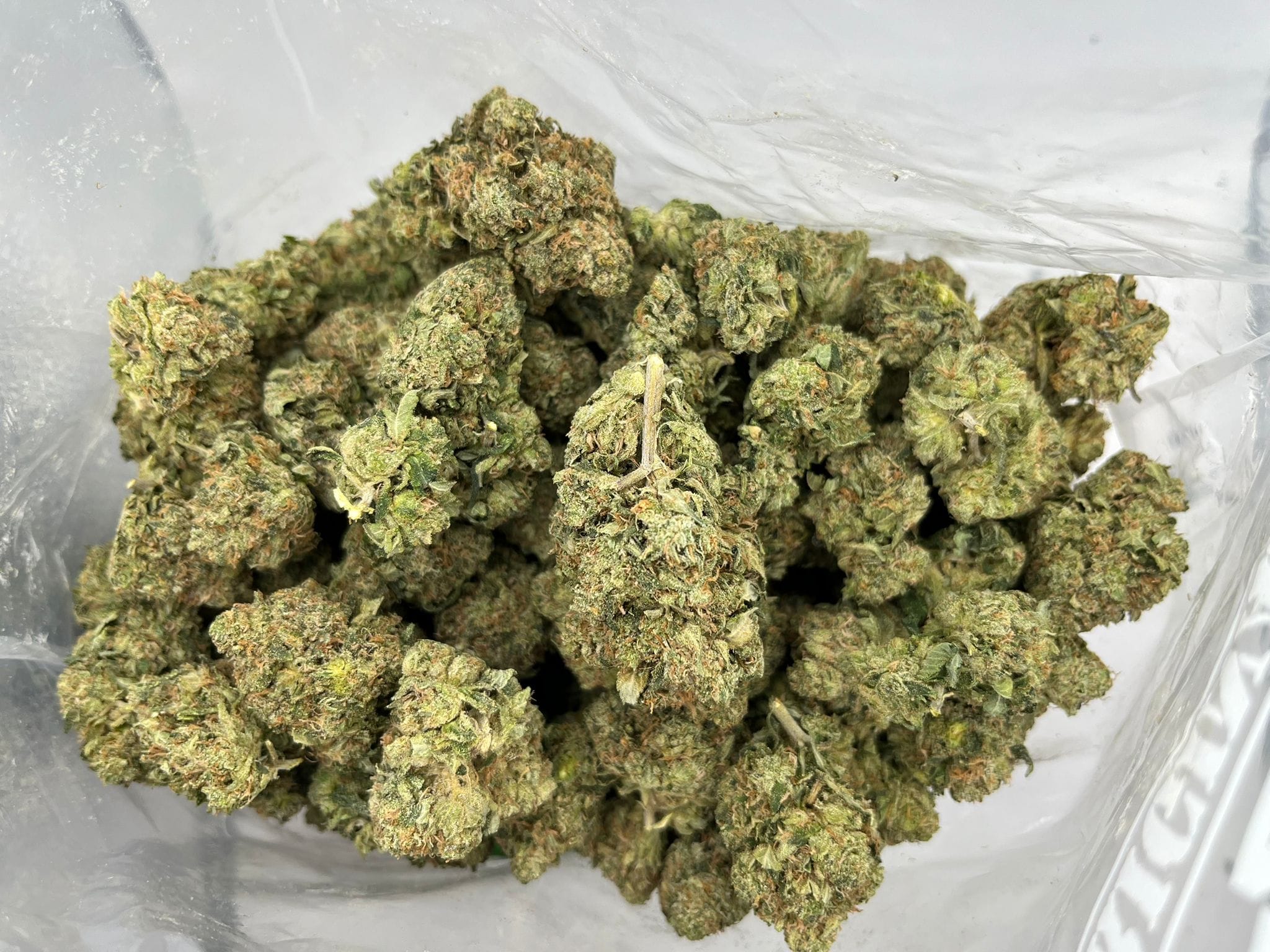 Budget Oz – Cannawholesalers – Frosty OG