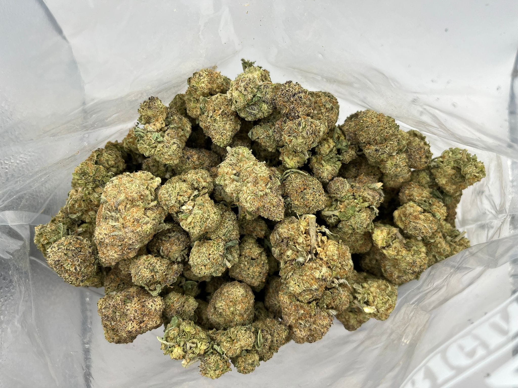 Budget Oz – Mendo Breath
