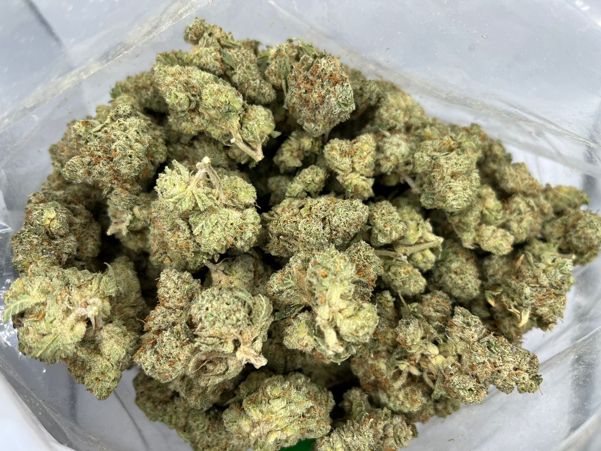 Budget Oz – Mochi