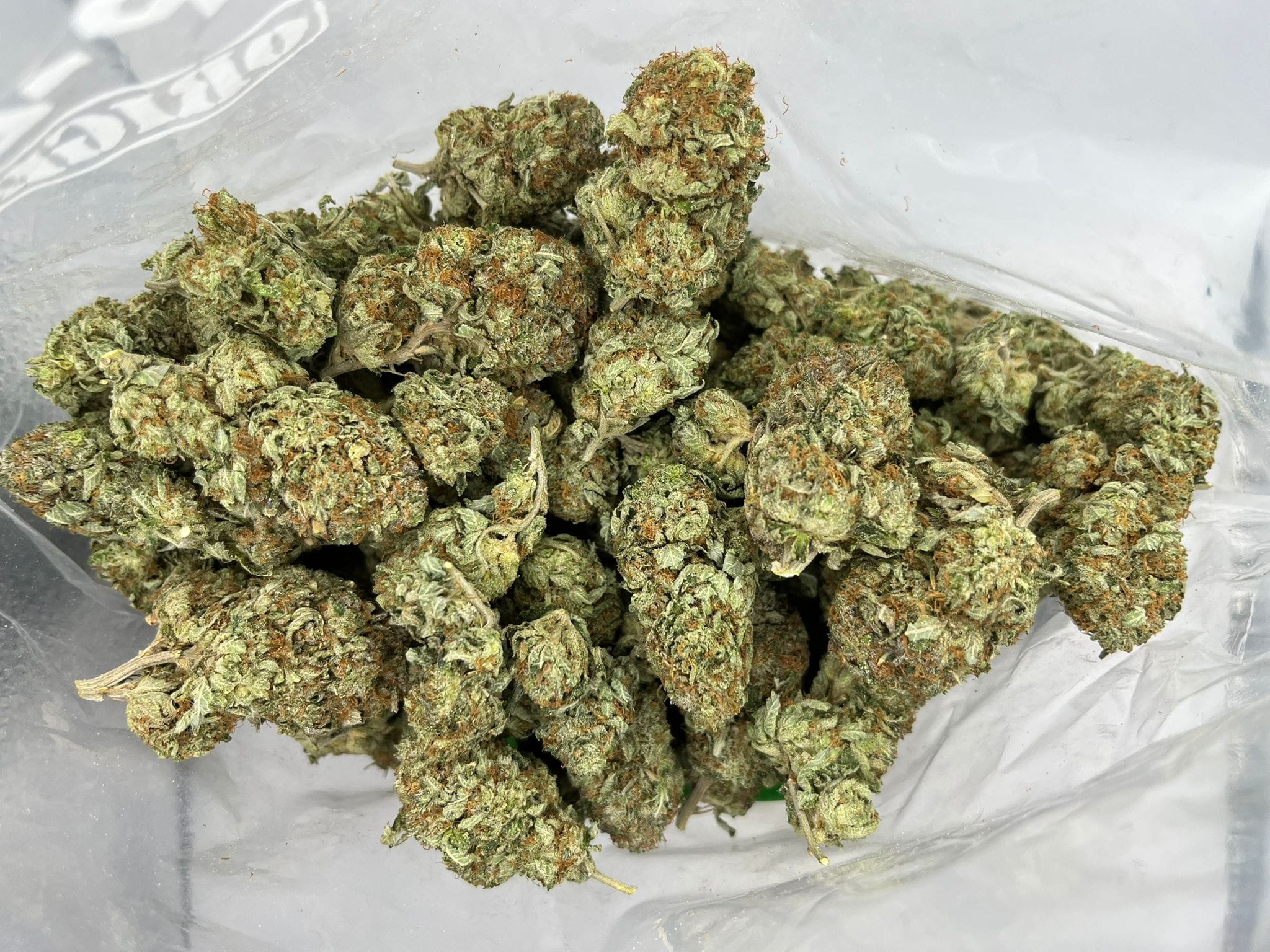 Buddha Tahoe