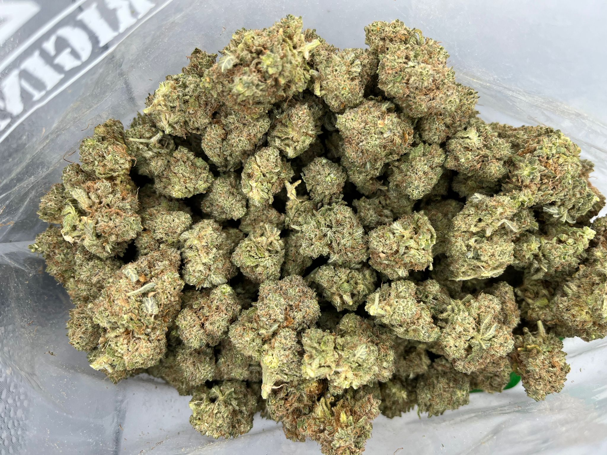 Budget Oz – Blue Dynamite