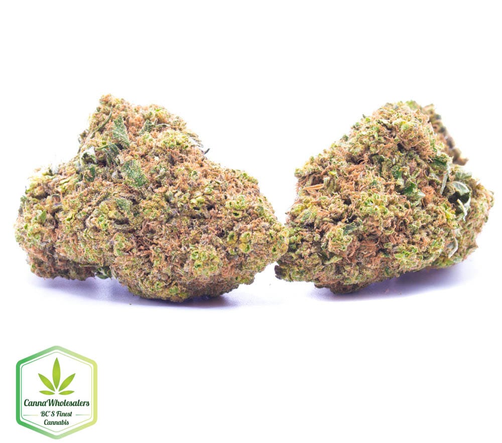 Chem Berry Diesel