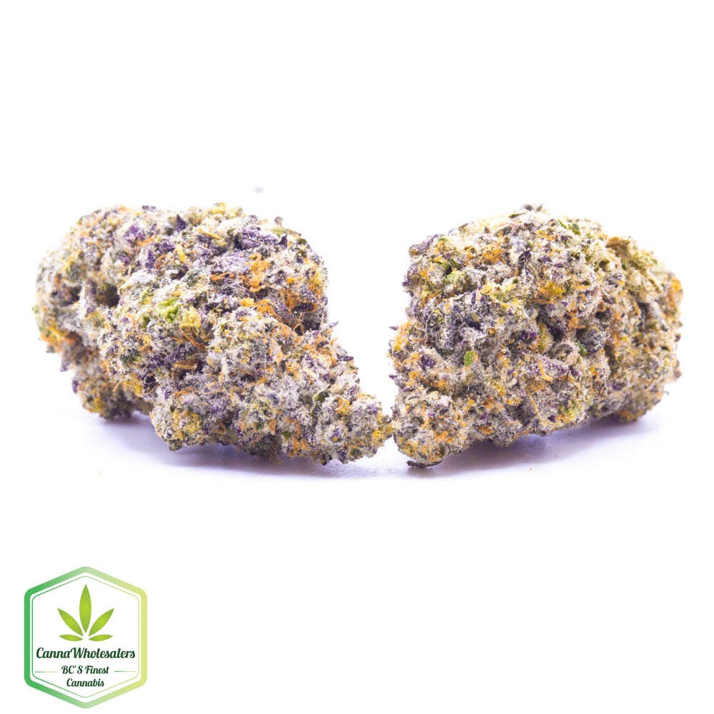 Hightimes Growery – Humboldt Headband