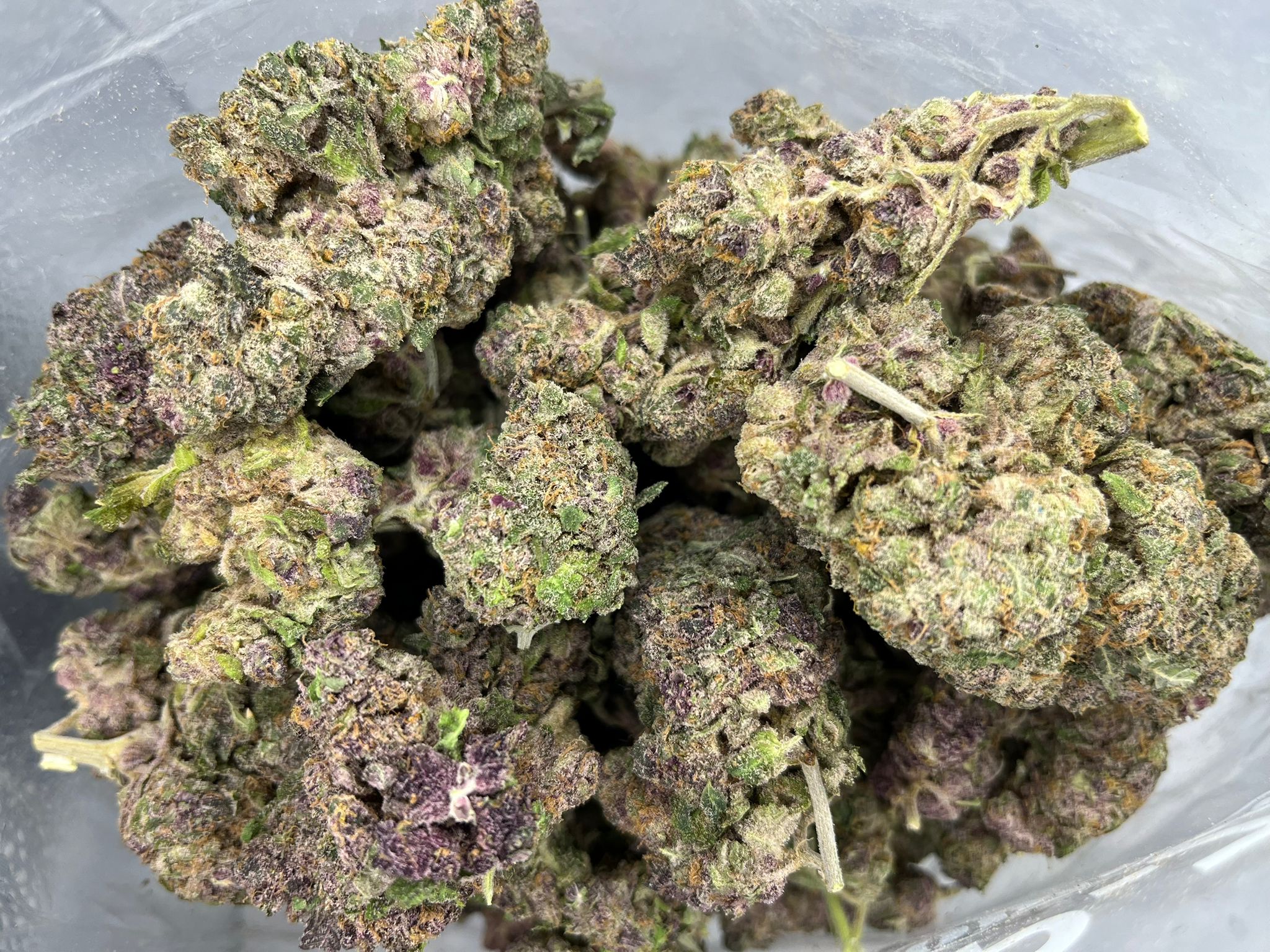Dragon Fruit