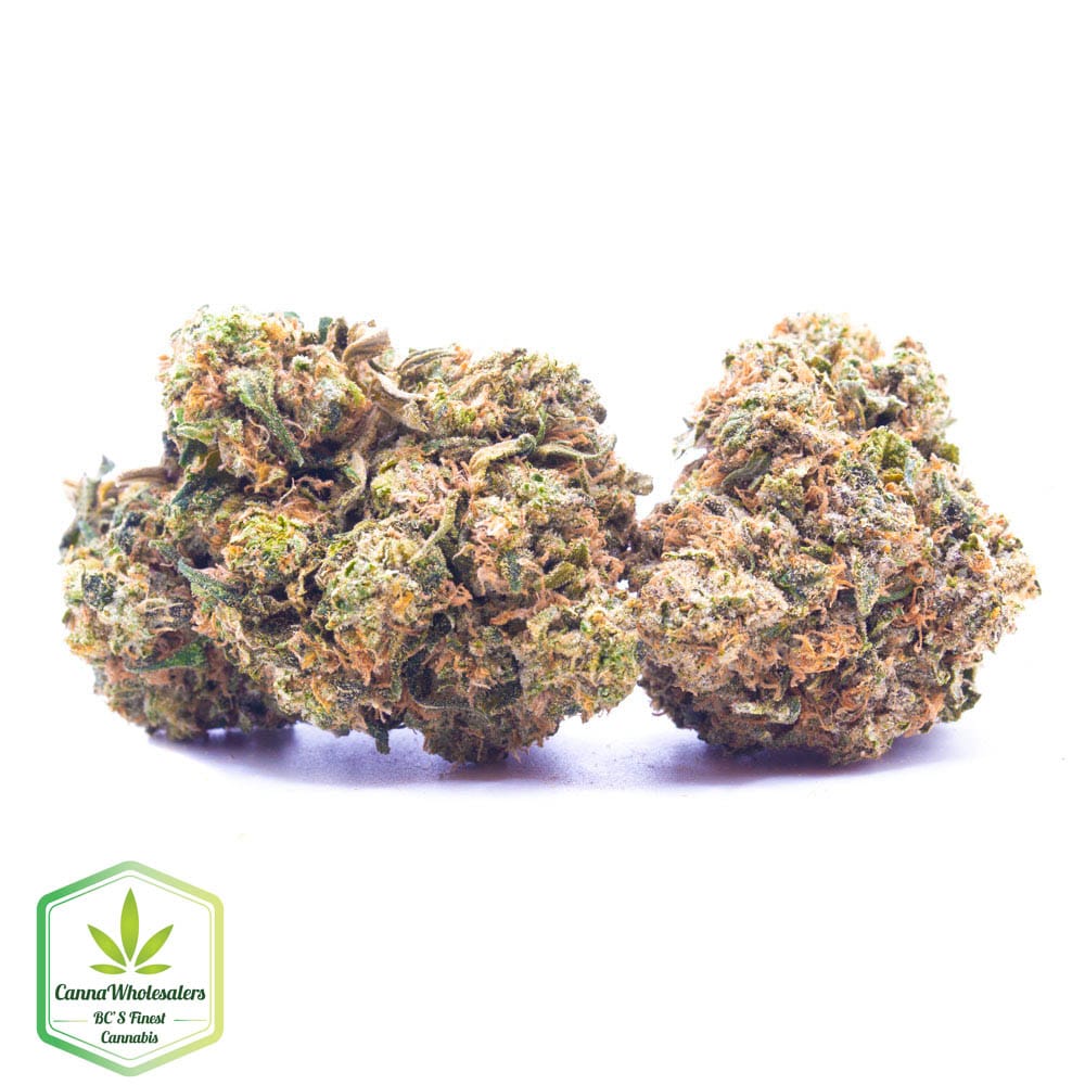 Budget Oz – Cannawholesalers – Frosty OG