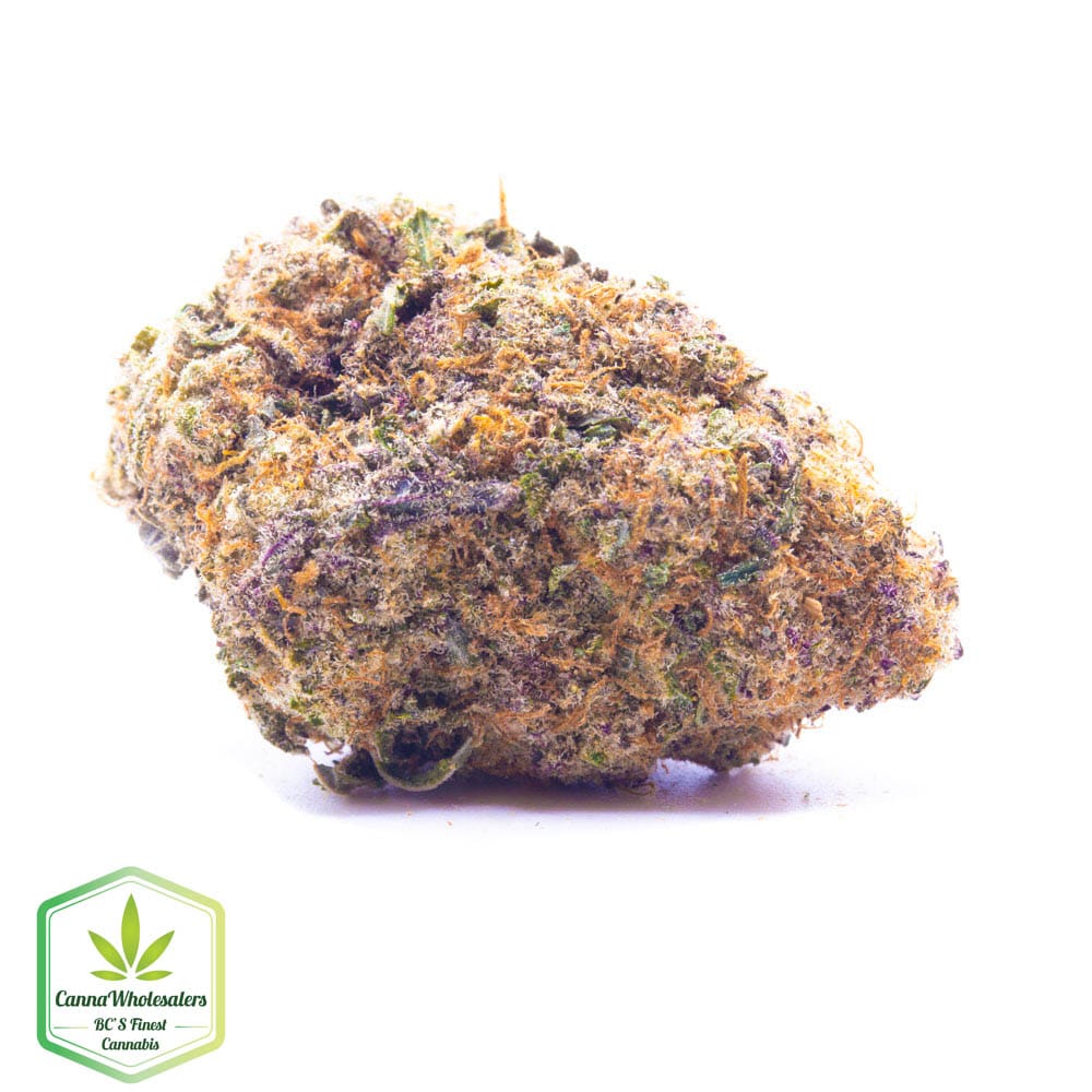Mendo Breath