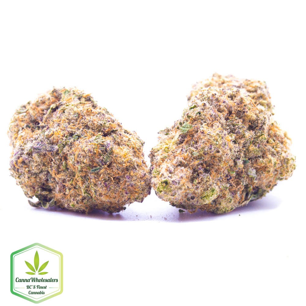 Budget Oz – Mendo Breath