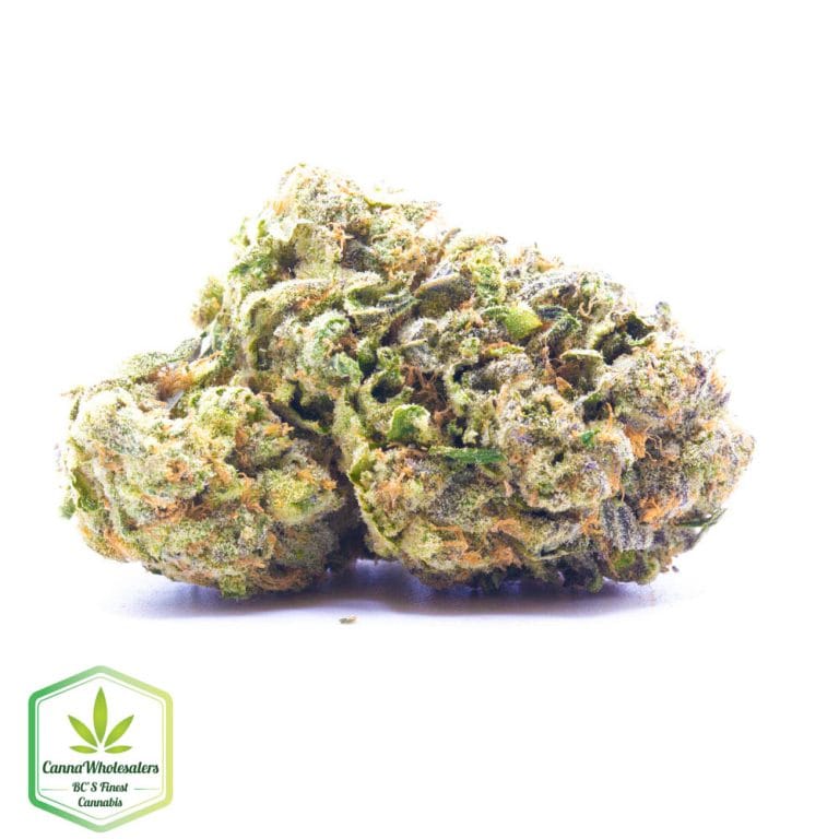 Pineapple Super Silver Haze – Craft Gardens
