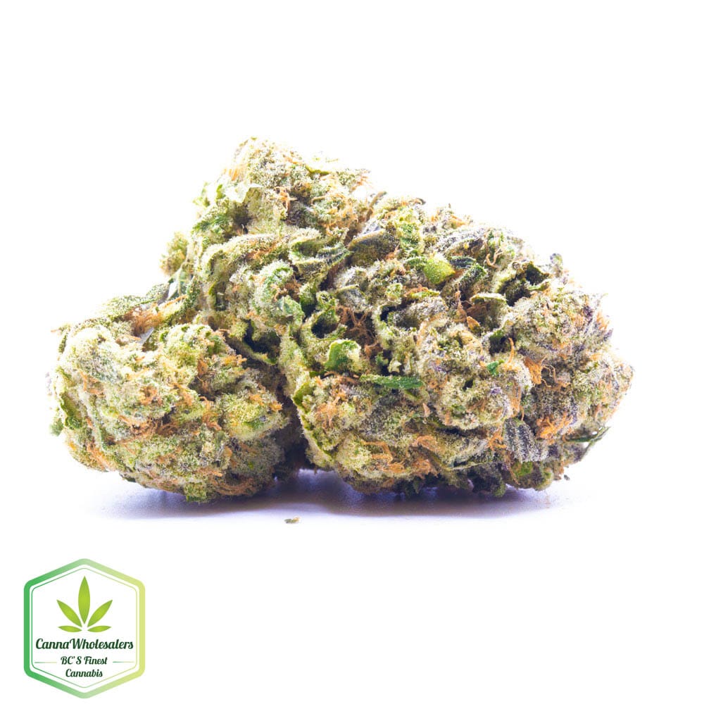 Pineapple Super Silver Haze – Craft Gardens