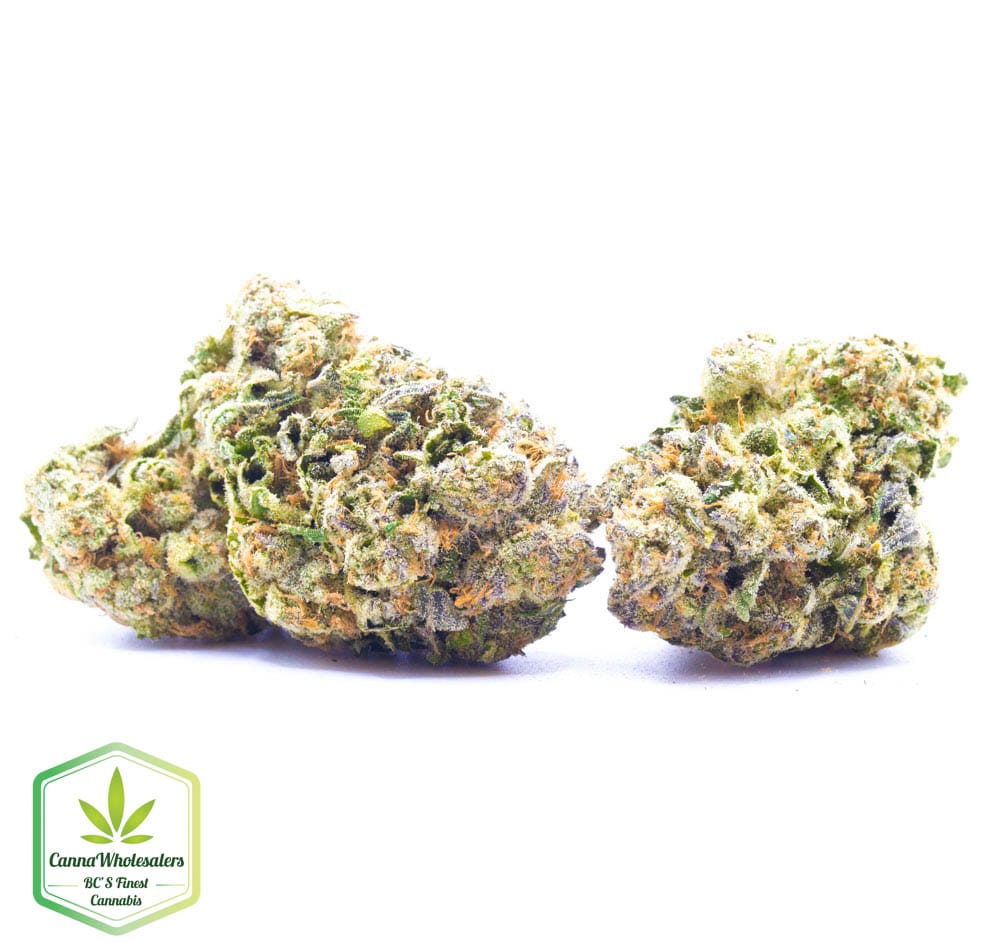 Pineapple Super Silver Haze – Craft Gardens