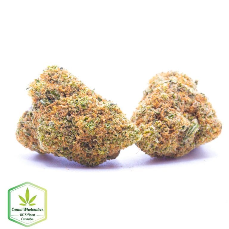 Budget Oz – Honey Bananas