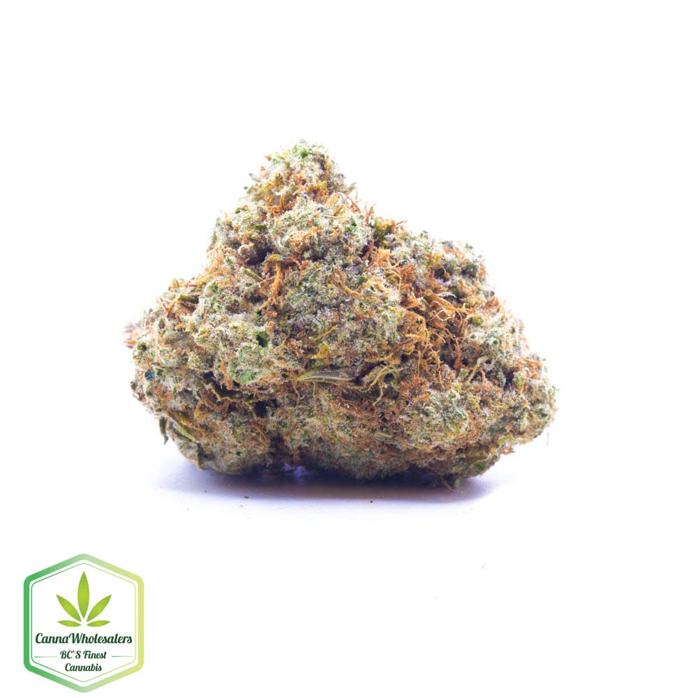 Mule Fuel