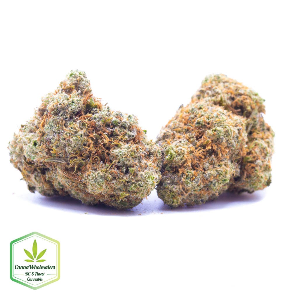 Mule Fuel