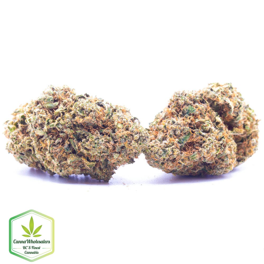Budget Oz – Durban Berry
