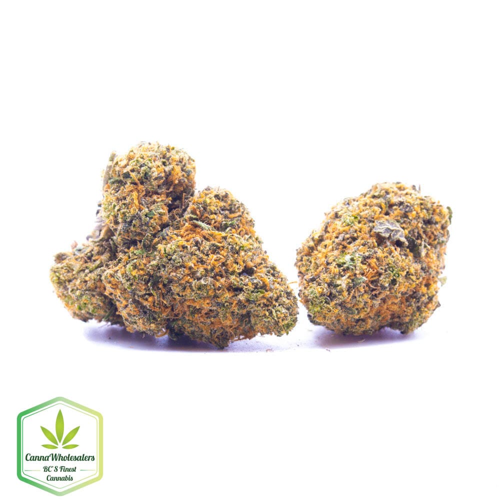Maui Mango Diesel