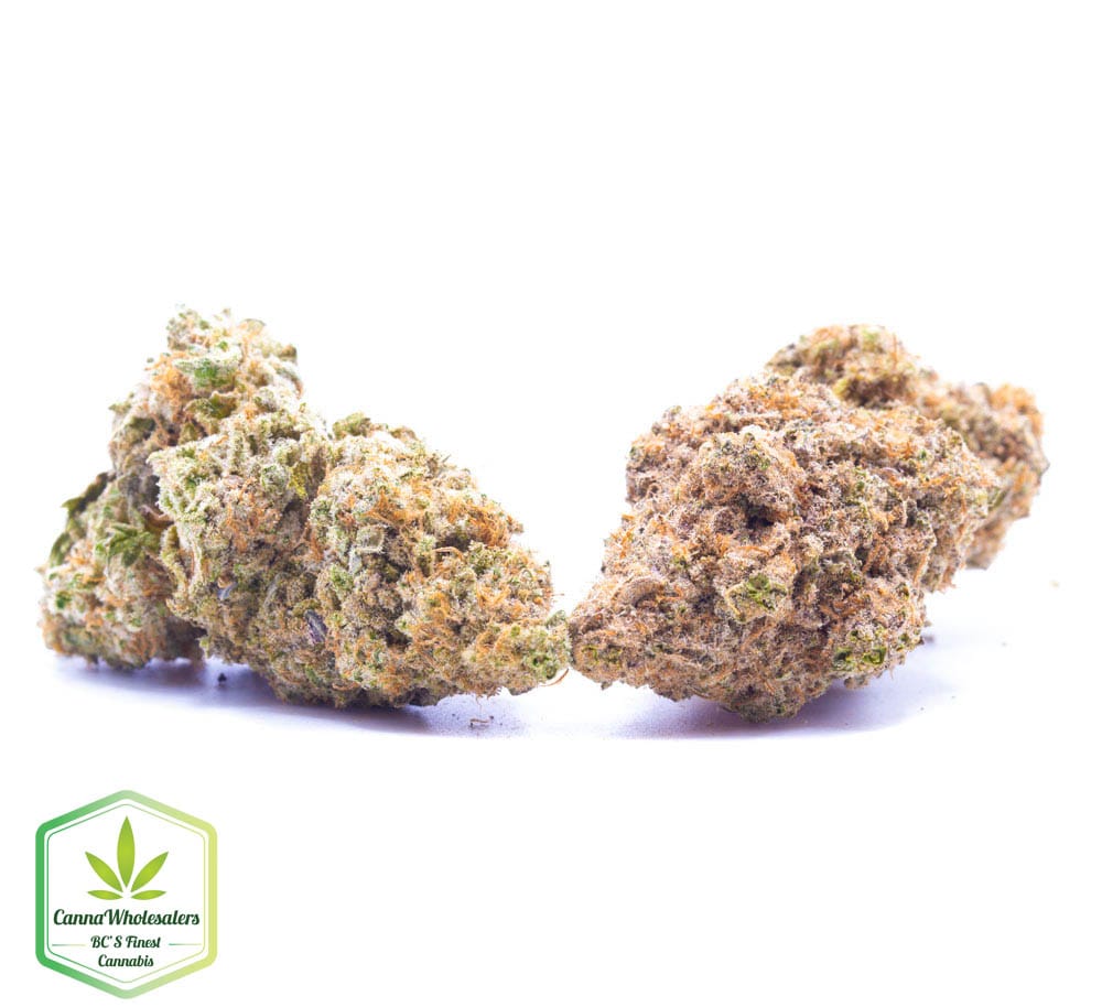Budget Oz – Extreme Cream