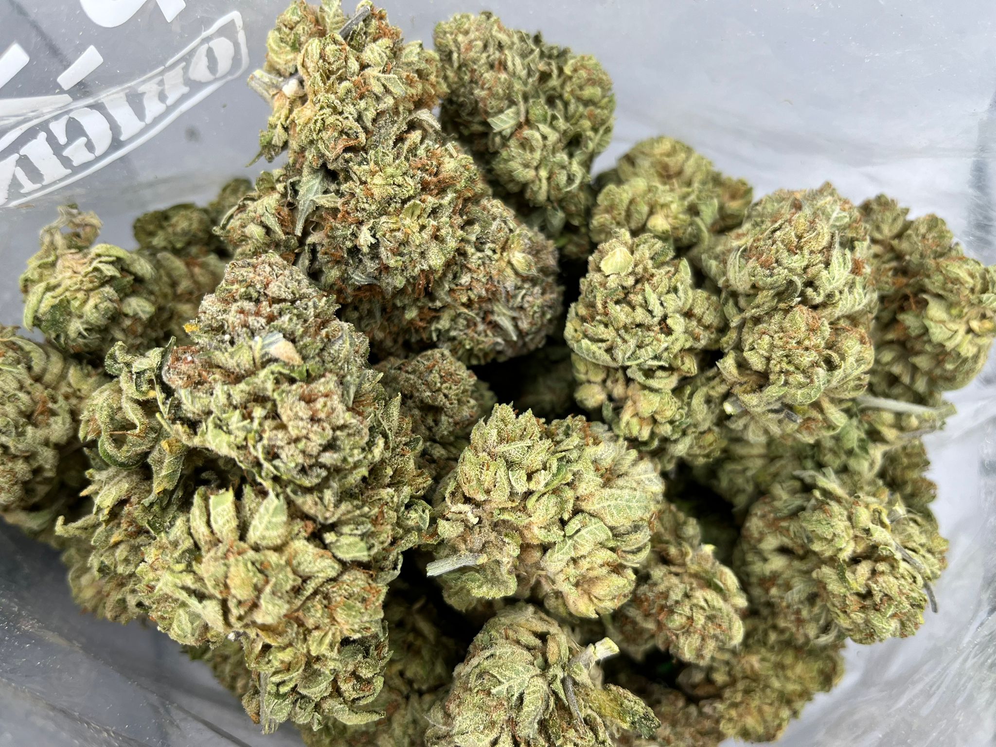 Sugar Kush