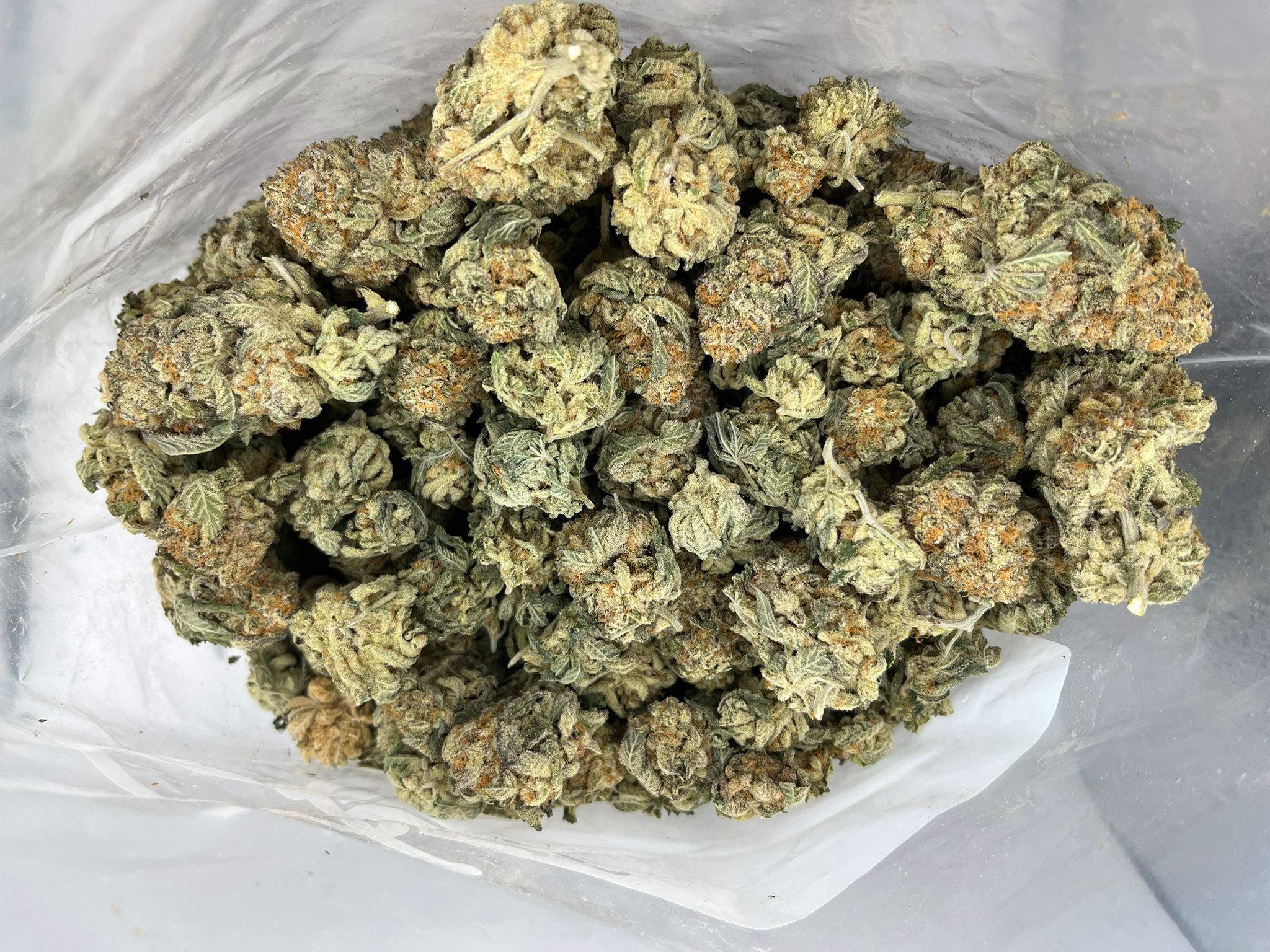 Budget Oz – Mekamika Haze