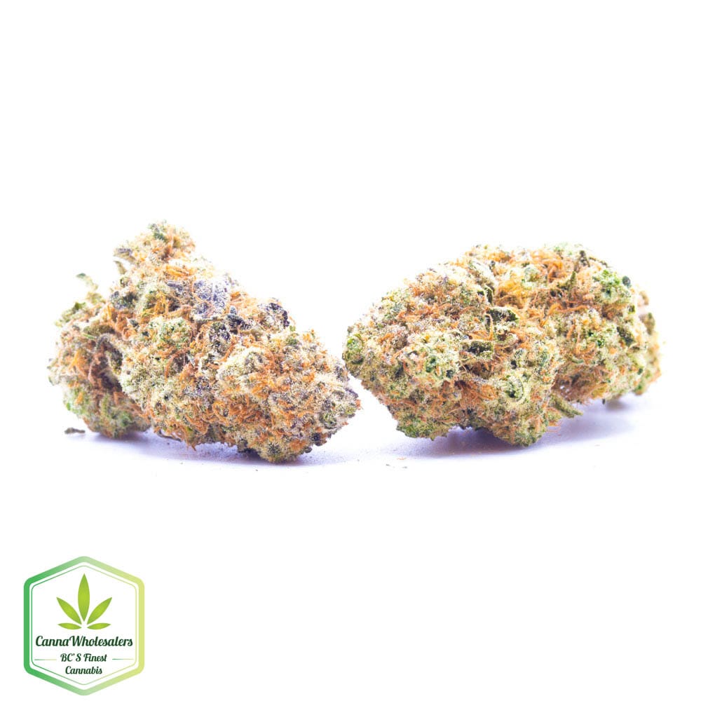 Budget Oz – Peyote Critical