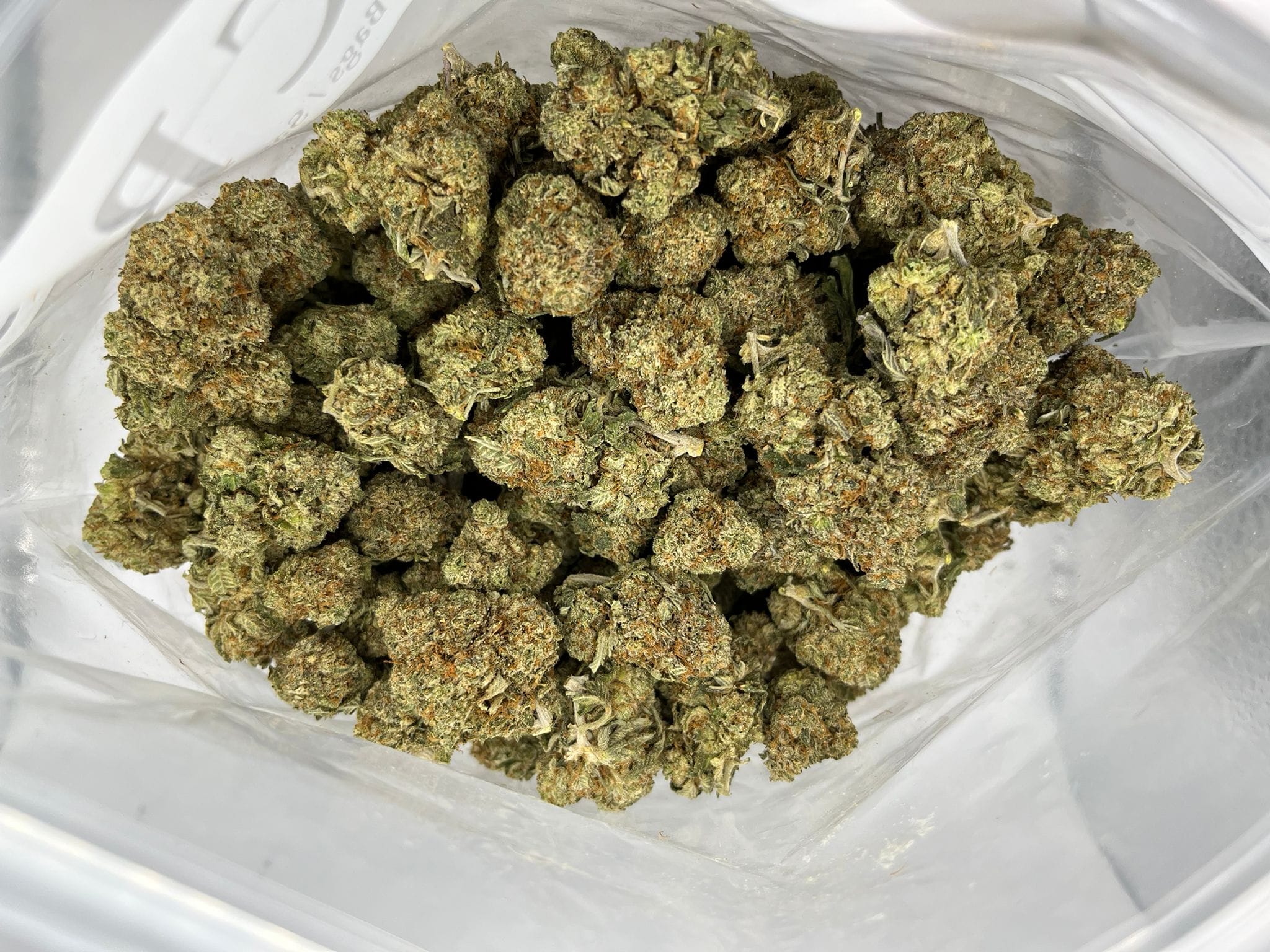 Budget Oz – StarFighter
