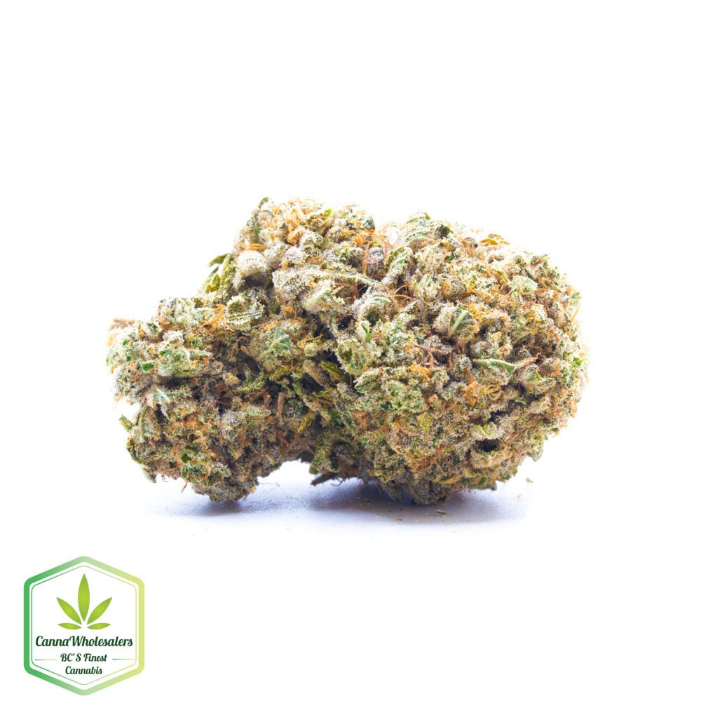 Alien Dawg