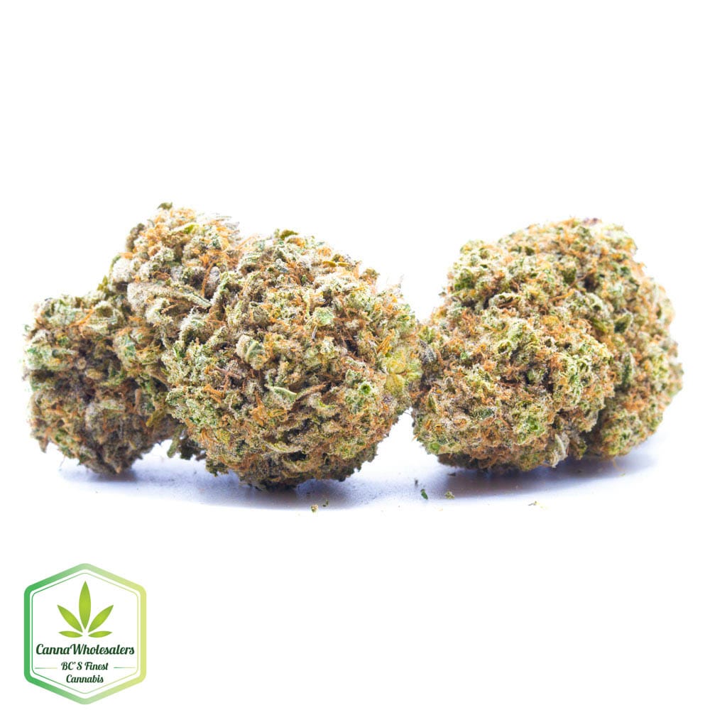 Alien Dawg