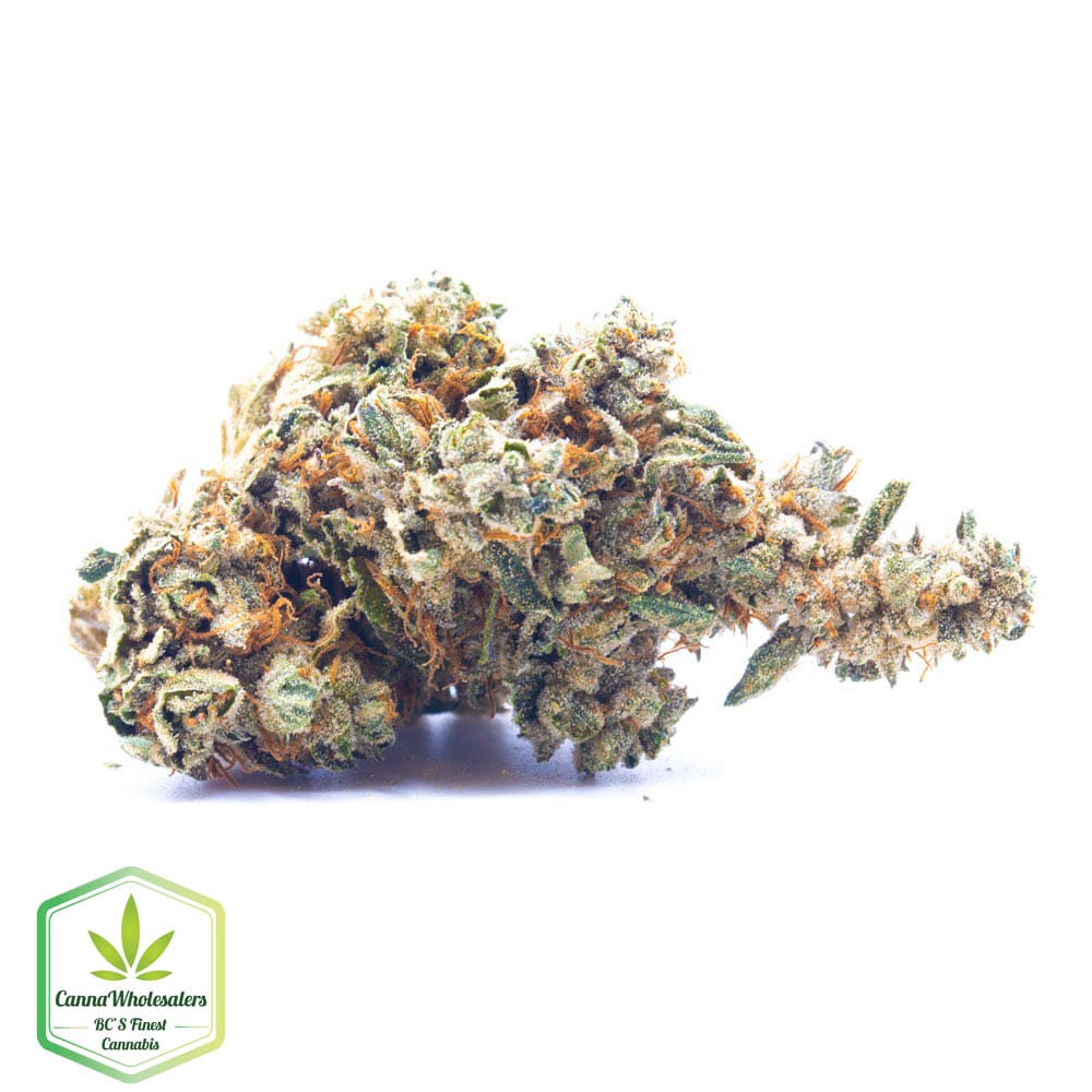 Cookie Glue